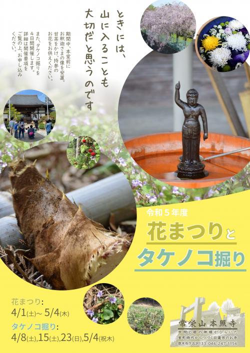 thumbnail_神奈川県厚木市本照寺タケノコ掘りと花まつりチラシ2023 thumbnail_神奈川県厚木市本照寺タケノコ掘りと花まつりチラシ2023