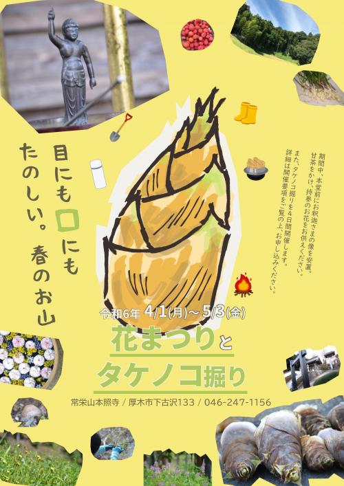 thumbnail_神奈川県厚木市本照寺_花まつりとタケノコ掘り2024チラシ thumbnail_神奈川県厚木市本照寺_花まつりとタケノコ掘り2024チラシ